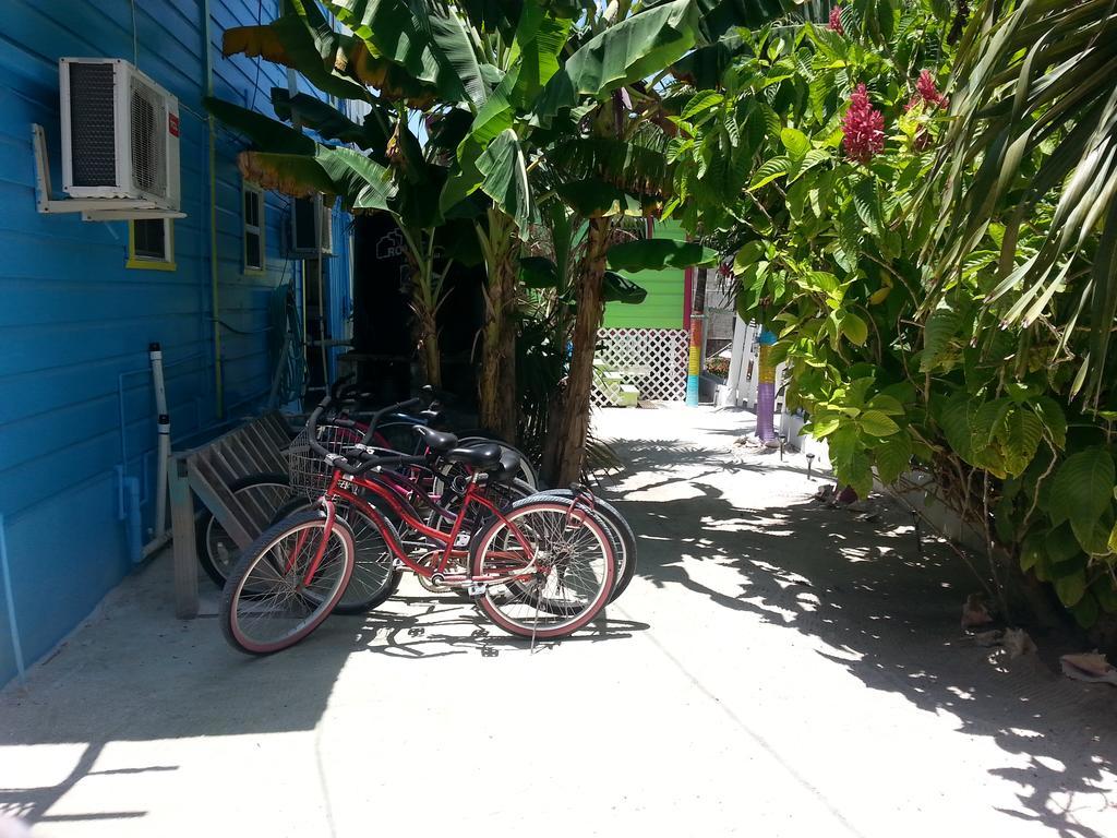 Sea N Sun Guest House Caye Caulker Eksteriør billede