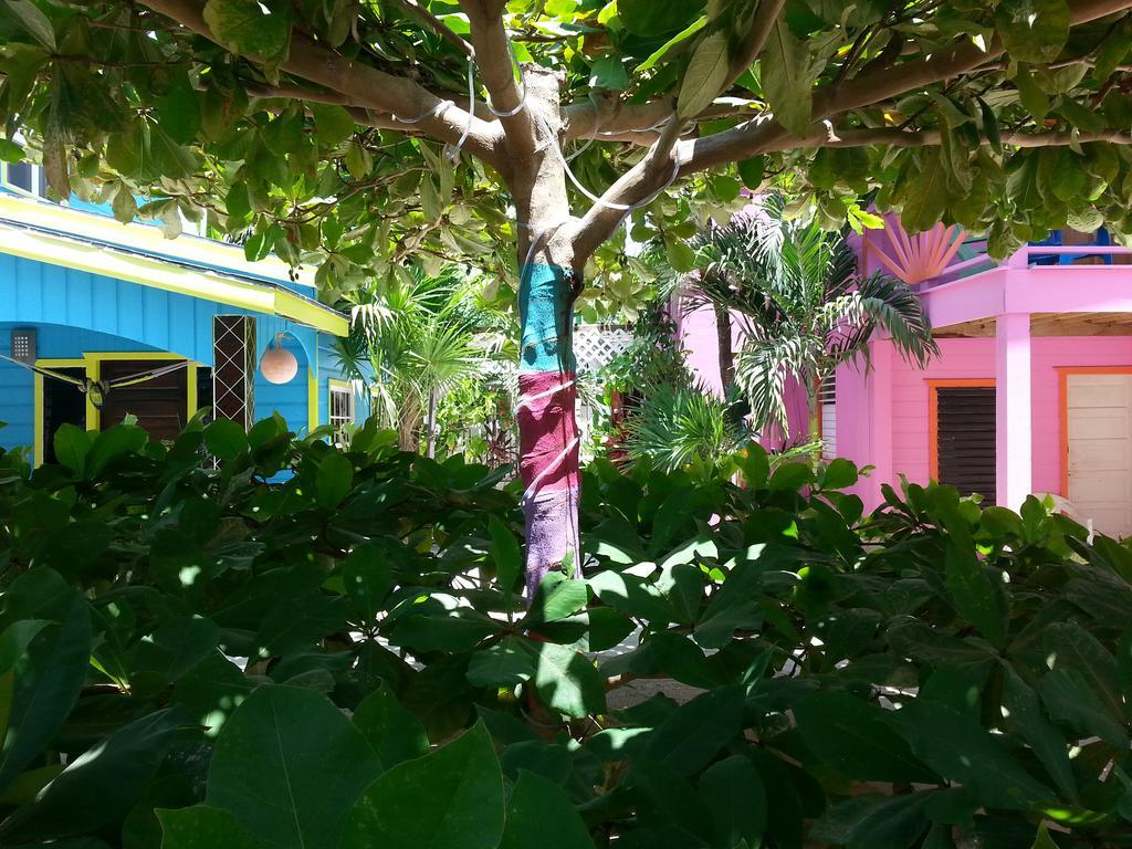 Sea N Sun Guest House Caye Caulker Eksteriør billede