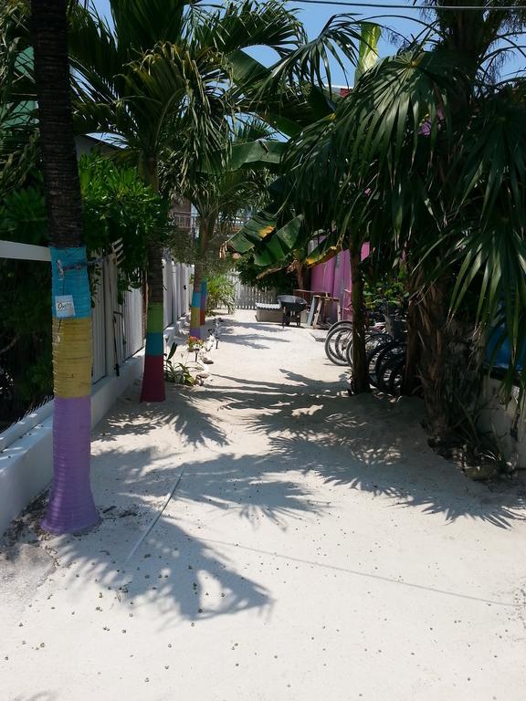 Sea N Sun Guest House Caye Caulker Eksteriør billede
